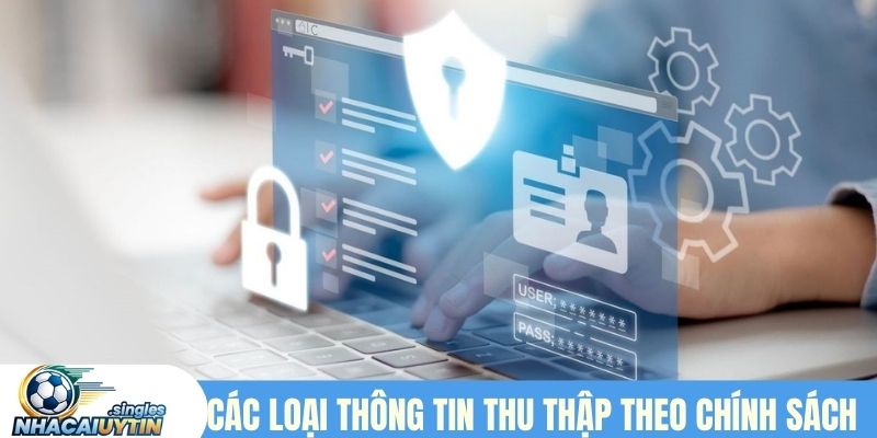 Các loại thông tin thu thập theo chính sách