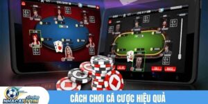 Cách chơi cá cược hiệu quả