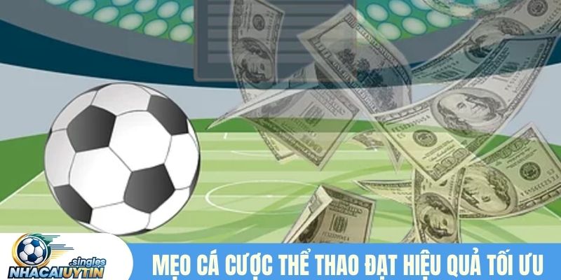 Kinh nghiệm cá cược cho người mới mẹo cá cược thể thao