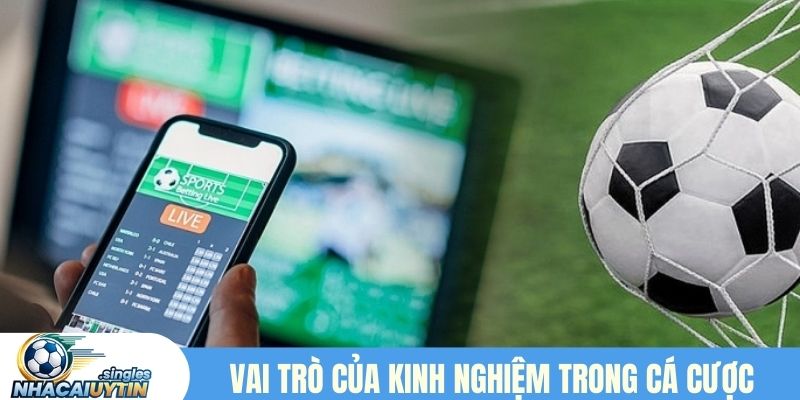 Vai trò của kinh nghiệm chơi cá cược thể thao